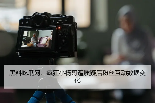 黑料吃瓜网：疯狂小杨哥遭质疑后粉丝互动数据变化